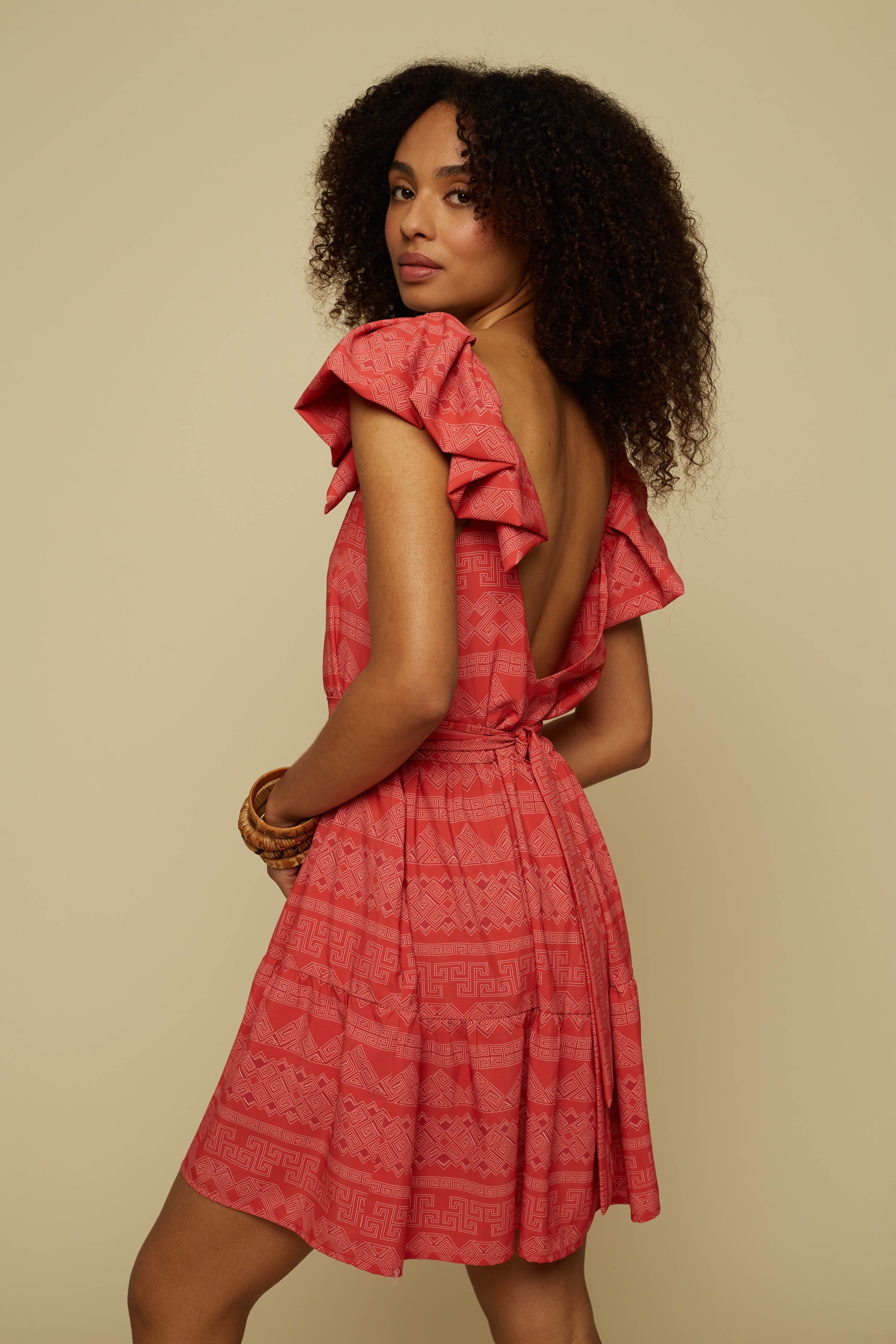 ALOGON MINI DRESS (RED JEWELLERY PRINT)