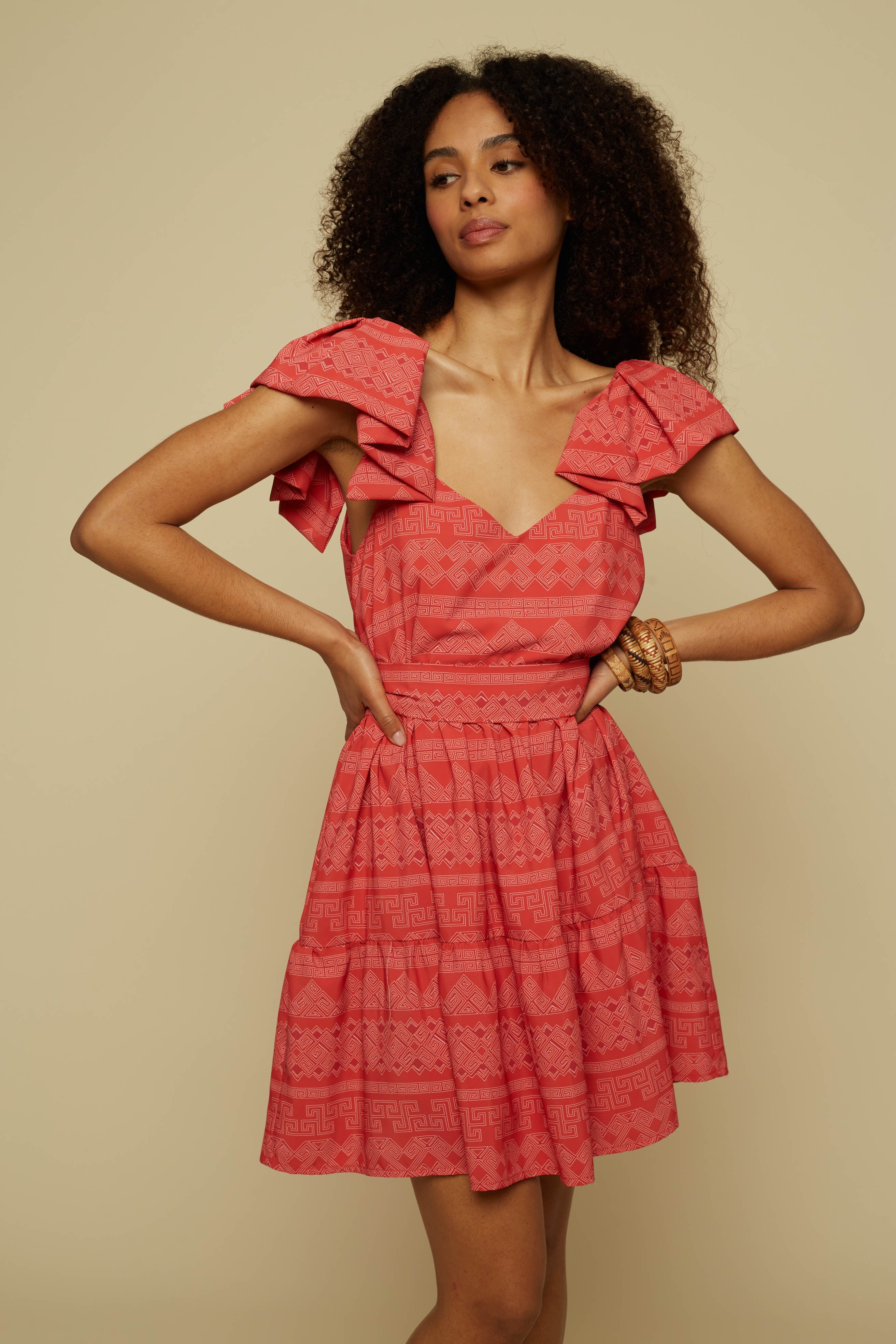 ALOGON MINI DRESS (RED JEWELLERY PRINT)