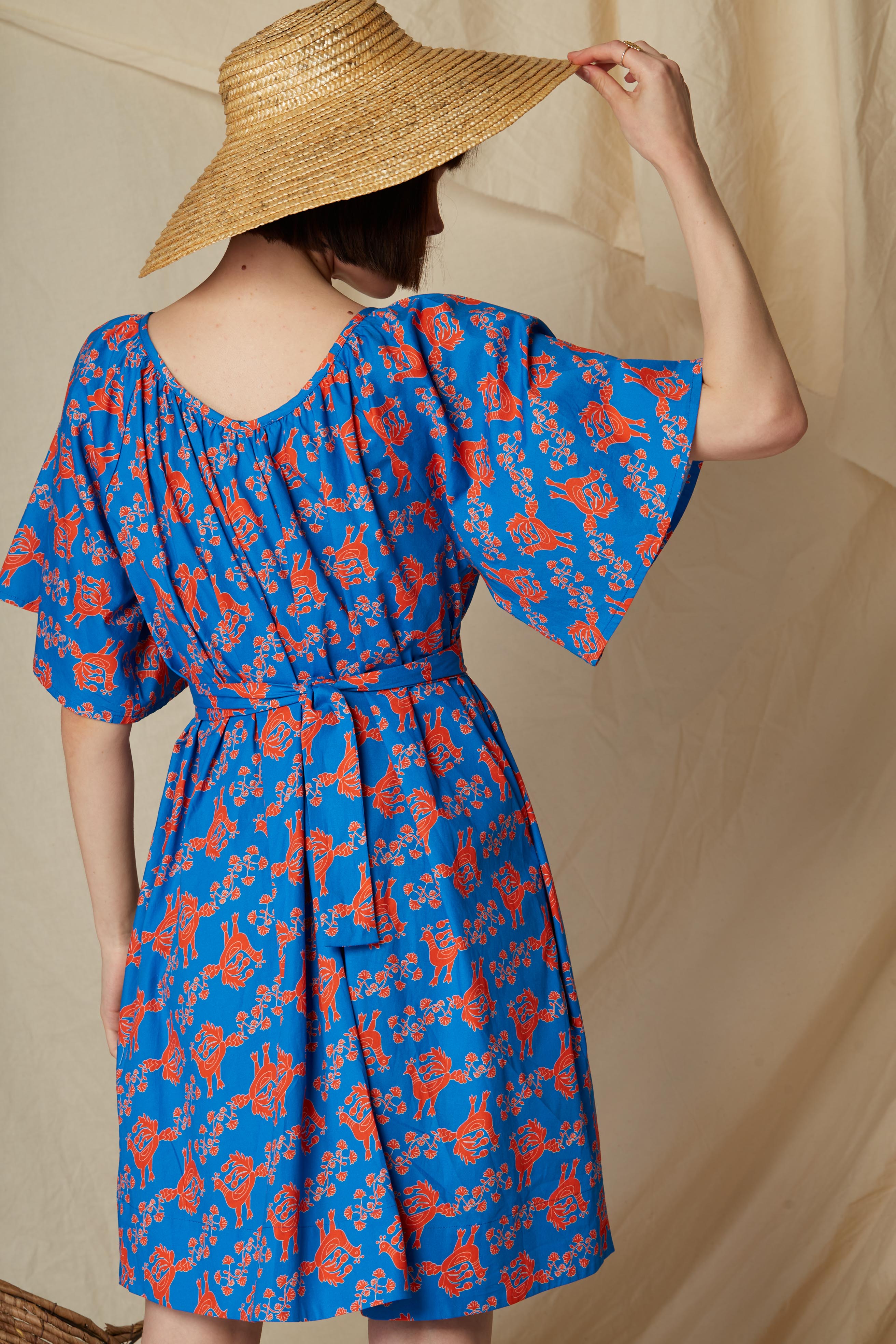 VALAXA MINI DRESS (Skyrian Birds)