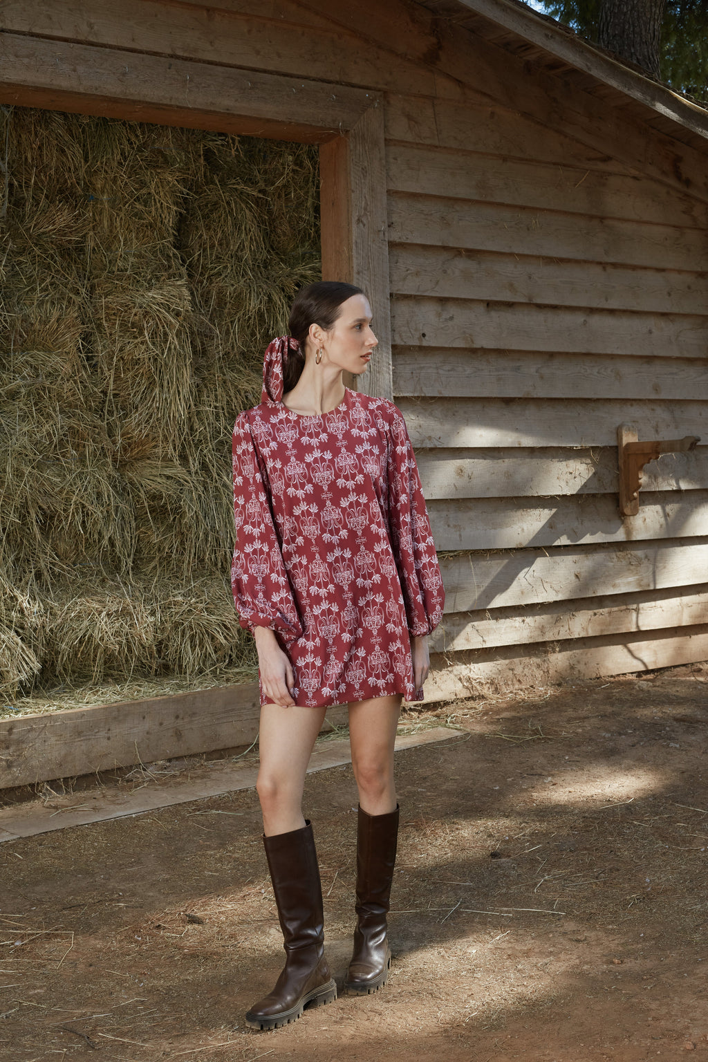 AGIASOS MINI DRESS (Bordeau Vase Print)