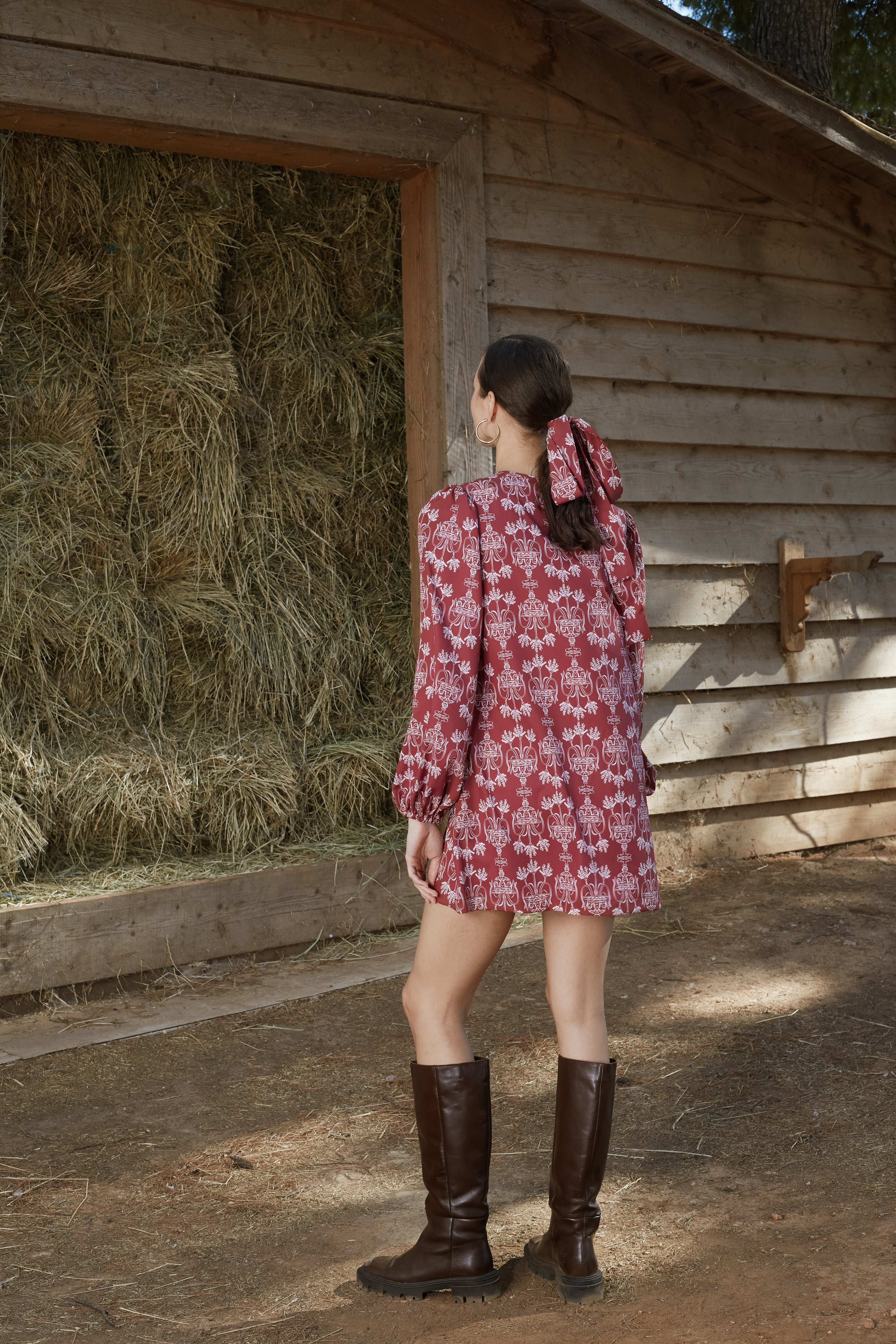 AGIASOS MINI DRESS (Bordeau Vase Print)
